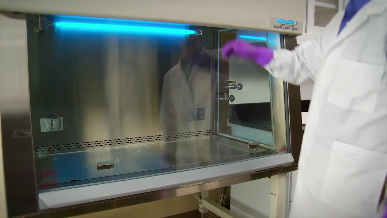 uv light in biosafety cabinet