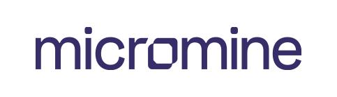Custom logo